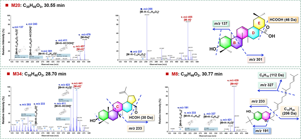 Fragmentation pathways analysis for the characterization of three marker compounds (M20#/M34#/M8#) for GS.