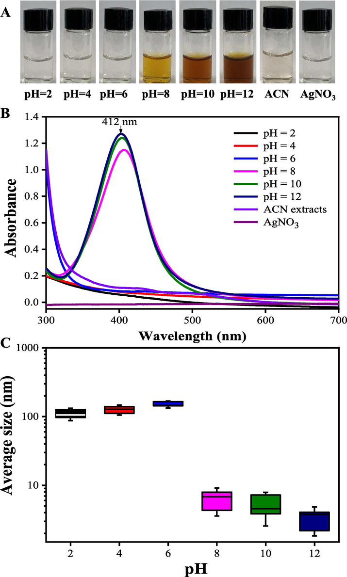 The color (A), UV–vis spectra (B) and the average size (C) changes of the bio-reduction kinetics of a colloidal AgNPs solution synthesized by the ACN aqueous extracts (1 mg/mL) and AgNO3 (1.0 mM) under different pH values at 25 °C for 90 min.