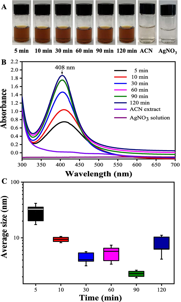 The color (A), UV–vis spectra (B) and the average size (C) changes of the bio-reduction kinetics of a colloidal AgNPs solution synthesized by the ACN aqueous extracts (1 mg/mL) and AgNO3 (1.0 mM) under different reaction times at pH = 12.0, 25 °C.