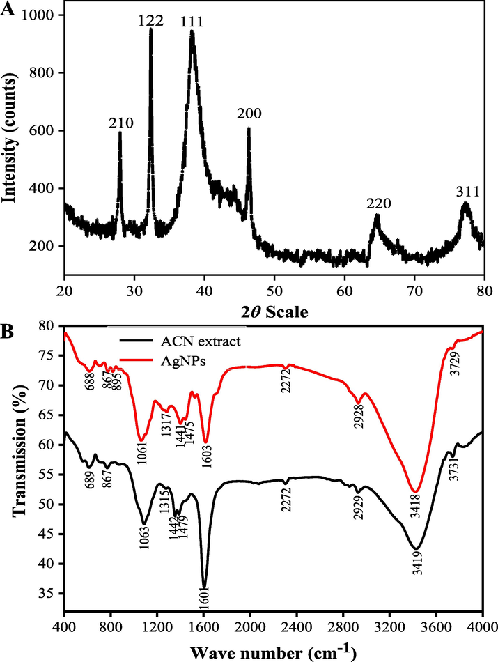 XRD pattern (A) and FTIR analysis (B) of the synthesized AgNPs under the optimal conditions (pH value at 12.0 of the extract; 1.0 mM of AgNO3 concentration; 90 min of reaction time).