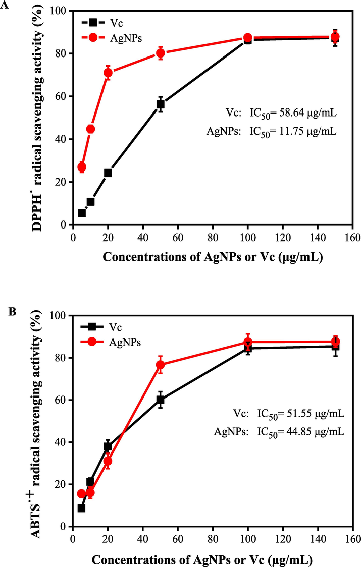 The radical scavenging activities of DPPH (A) and ABTS+ (B) of AgNPs synthesized by the ACN aqueous extract and AgNO3 solution under the optimal conditions.