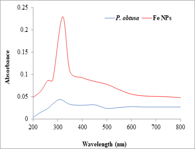UV/Visible spectra of P. obtusa extract and FeNPs.