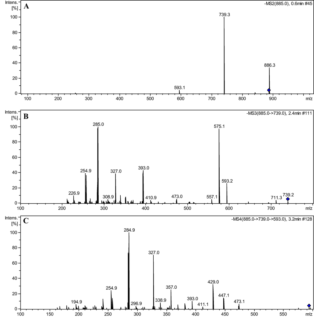 Mass spectra MS2 (A), MS3 (B), and MS4 (C) of ions m/z 885, 739, and 593 referring to flavonoid kaempferol-3-O-rhamnosyl-(1→2)-[rhamnosyl-(1→6)]-galactosyl-7-O-rhamnoside (5).