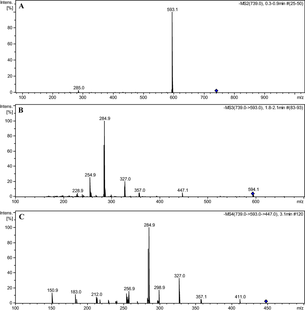 Mass spectra MS2 (A), MS3 (B), and MS4 (C) of ions m/z 739, 593, and 447 referring to flavonoid kaempferol-3-O-rhamnosyl-(1→6)- galactosyl-7-O-rhamnoside (6).