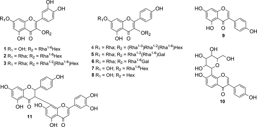 Structures of the compounds identified in the aqueous fraction of M. acutifolium leaves.