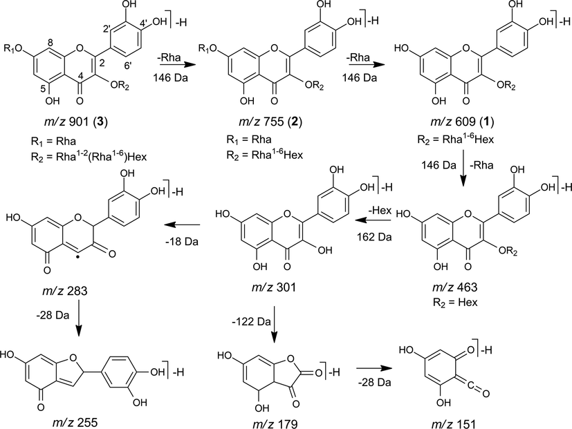 Fragmentation proposal for flavonoids 1, 2 and 3.