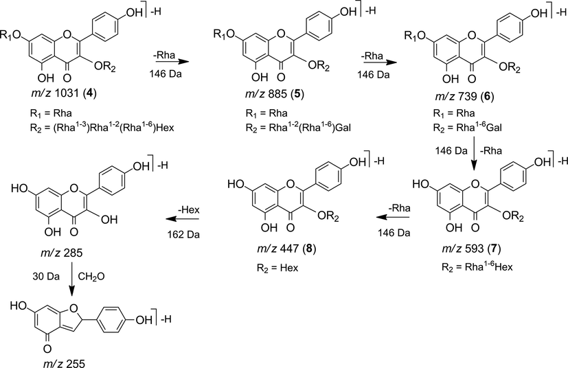 Fragmentation proposal for flavonoids 4 to 8.