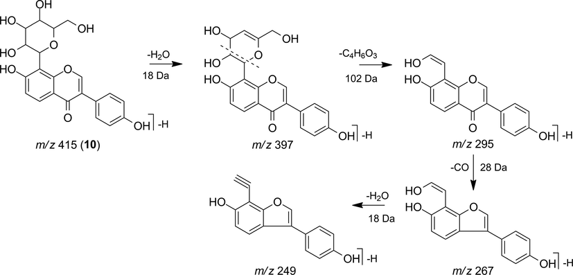 Fragmentation proposal for daidzein-8-C-glucoside (10).