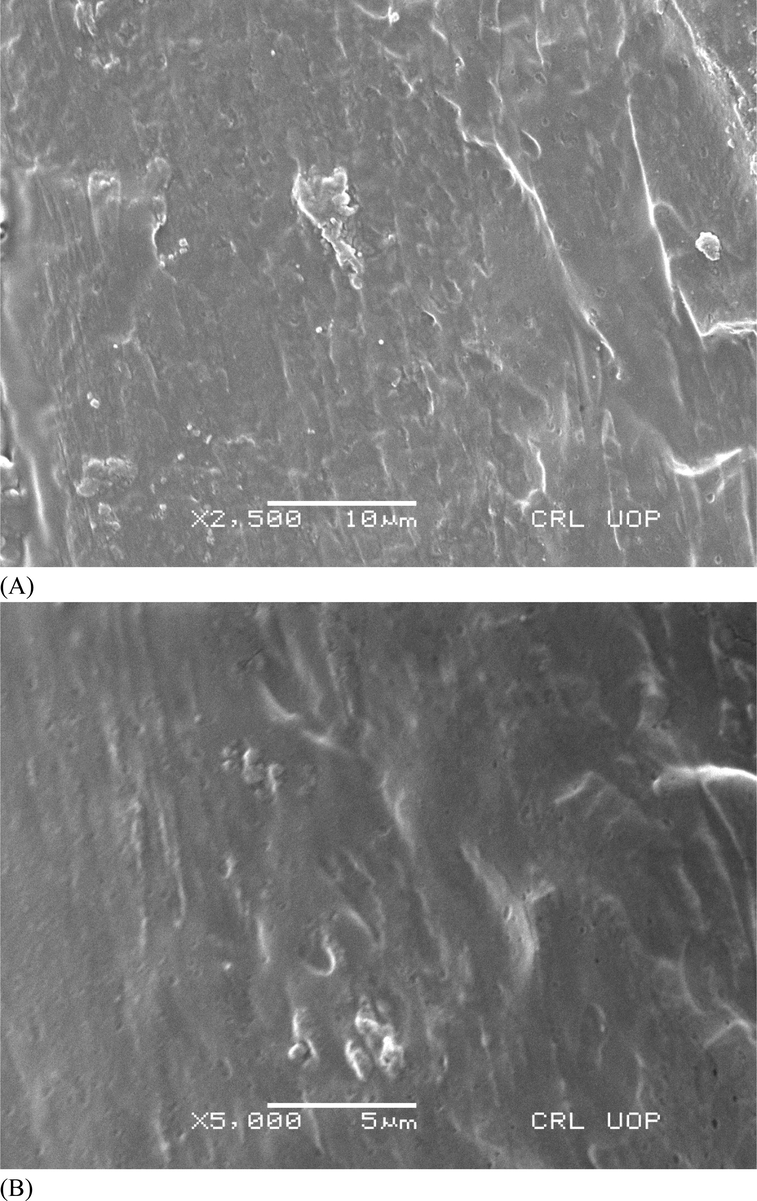 SEM images of chitosan and polyvinyl alcohol membranes, (A) without extract and (b) loaded with Calotropis procera extract.