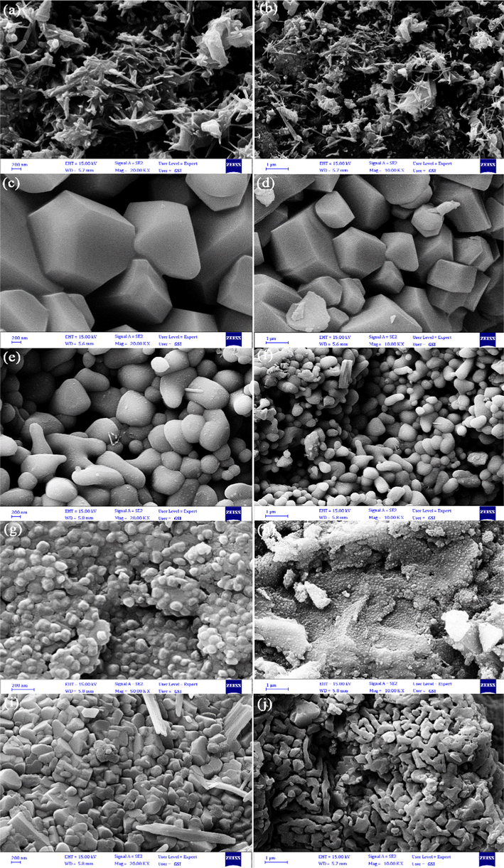 SEM nano and micrographs of Li-B-Ni nanostructures fabricated in presence of (a–j) diverse complexing agents of EDTA, citric acid, tannic acid, tartaric acid and phthalic acid, correspondingly.