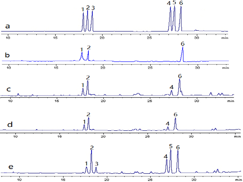 (a) GC profile of monosaccharide standards (1. Rha, 2. Ara, 3. Xyl, 4. Man, 5. Glc, 6. Gal). (b–e) GC profiles of the polysaccharides of BJP50, BJP60, BJP70 and BJP80 obtained from Herba Patriniae.