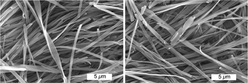 SEM studies of the xerogel generated from the organogel of 4b in n-butanol (1.86 mM).