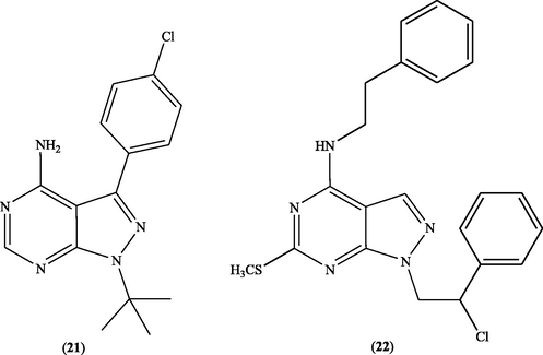 Structure of pyrazolo[3,4-d]pyrimidines 21 and 22 as Src kinase suppressors.