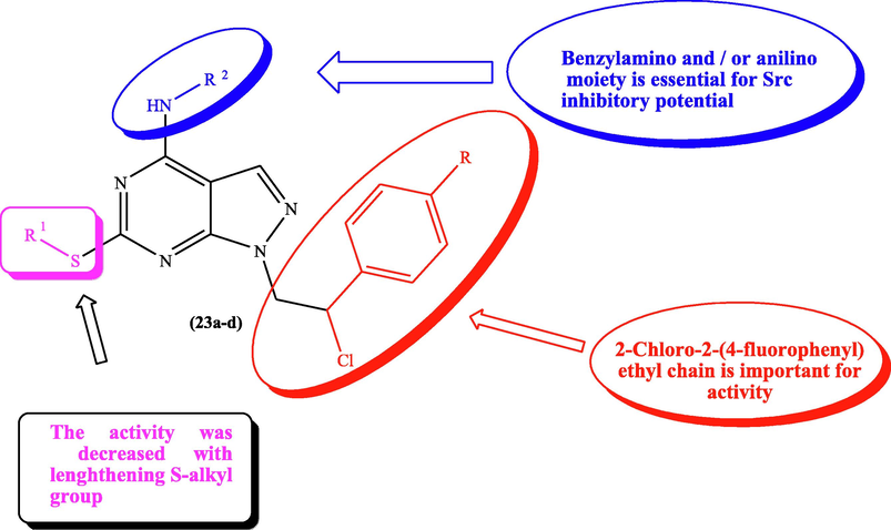 SAR and substitution effect of pyrazolo[3,4-d]pyrimidines on Src inhibitory effect.