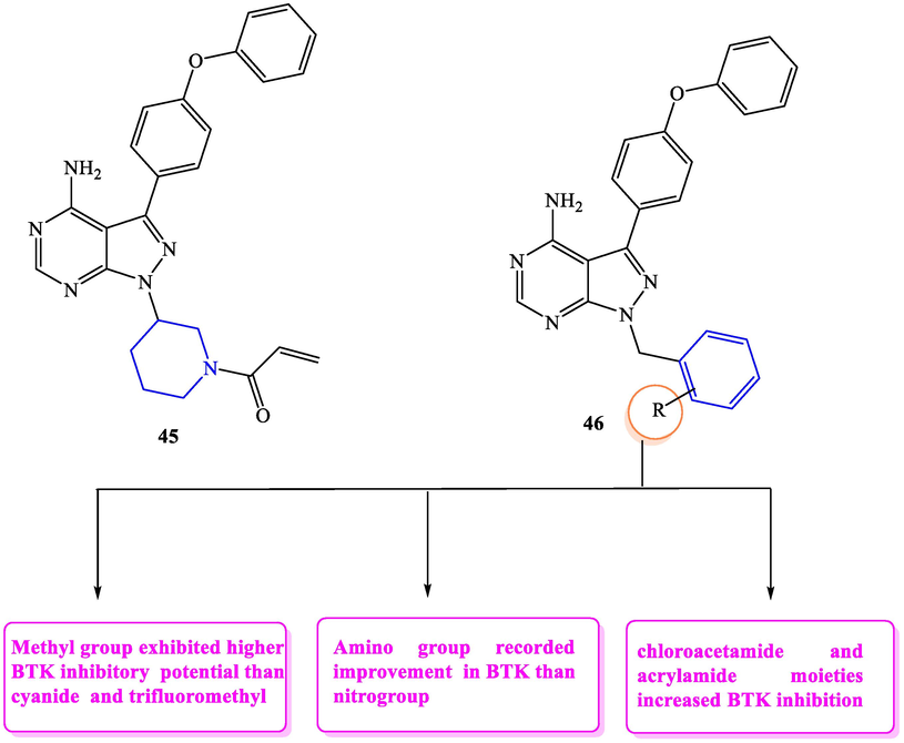 SAR of pyrazolopyrimidines as BTK inhibitors.