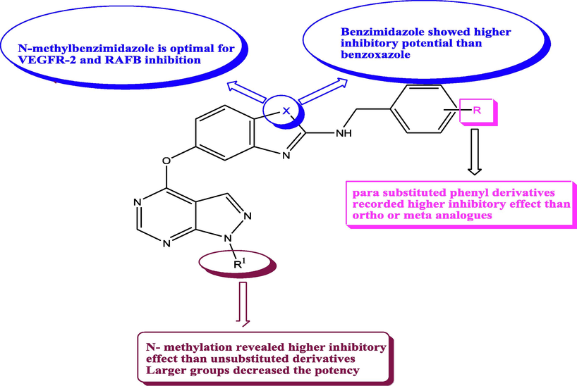 SAR and substitution effects of pyrazolopyrimidines with RAFB and VEGFR-2 inhibitory potential.