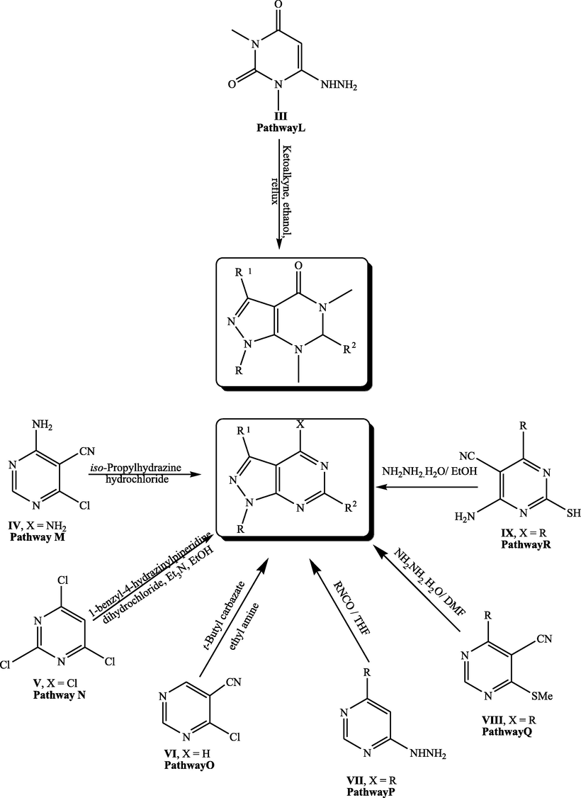 Synthetic strategies for construction of pyrazolopyrimidine starting from substituted pyrimidines.