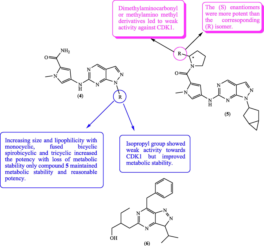 SAR and substitution effect of pyrazolopyrimidines on CDK1 inhibitory potential.