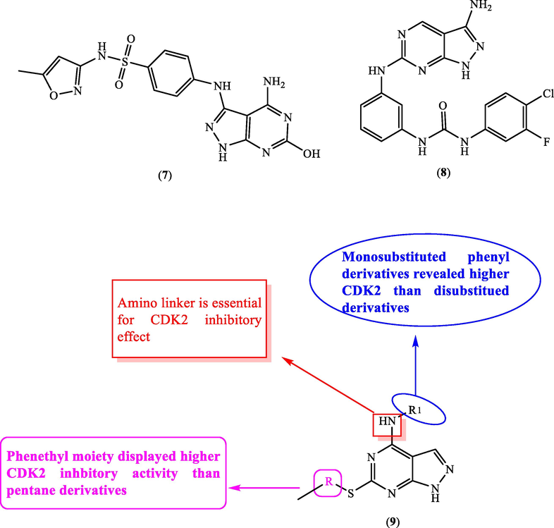 SAR and substitution effect on CDK2 inhibition.