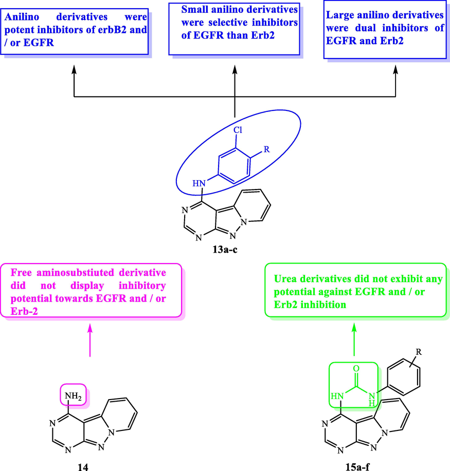 SAR and substitution effect of pyrazolopyrimidines as EGFR inhibitors.