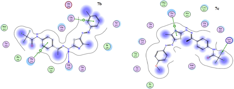 The 2D docked model of compounds 7b and 7c into the active site of 4hy0.