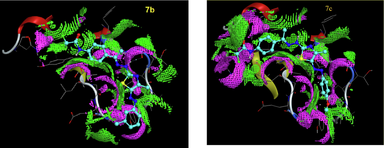 The contact performance of compounds 7b and 7c into the active site of 4hy0, respectively.