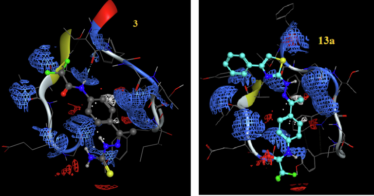 The electrostatic map of compounds 3 and 13a into the active site of 4hy0, respectively.