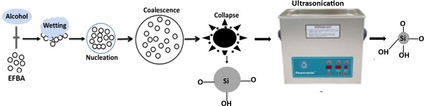 Schematic illustration of EFBSNP formulation process.