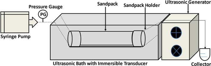 Schematic illustration of ultrasound assisted EFBSNF flooding in a simulated porous media.
