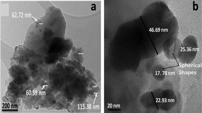 TEM images of EFBSNP showing sizes and shape (a) platy and irregular shapes due to cavitation during wet milling and (b) spherical shape and small size particles due to ultrasonication.