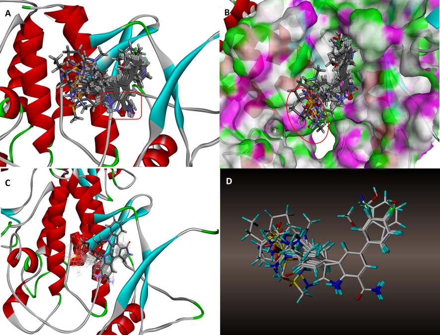 (A) Superimposition of all docking poses, (B) Steric relation of H-bond surface with docking poses, (C) Superposition of docking poses of compounds with the original ligand of 4KIK, (D) Alignment of training set molecules acquired from docking poses.