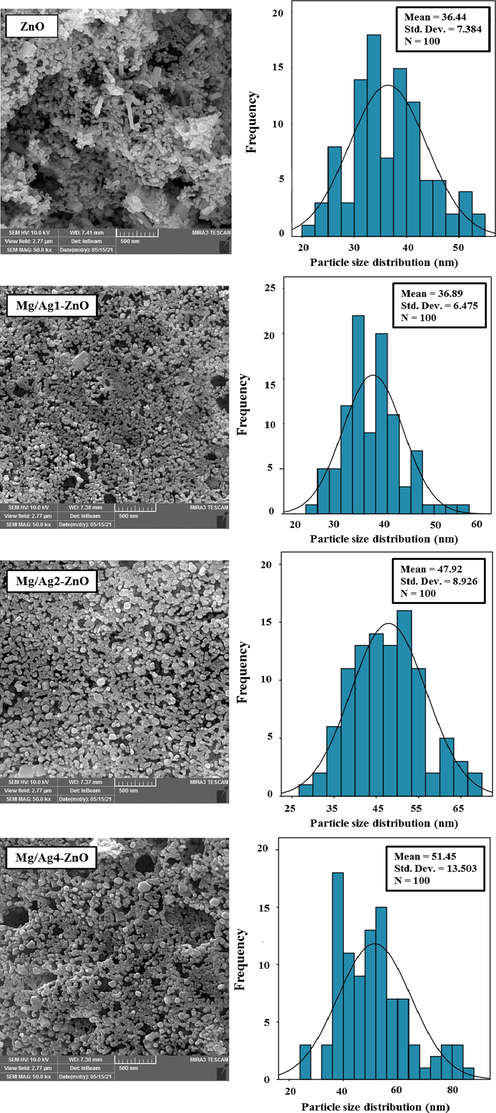 FESEM images and particle size distribution of ZnO, Mg/Ag1-ZnO, Mg/Ag2-ZnO, and Mg/Ag4-ZnO nanoparticles obtained by using S. persica.