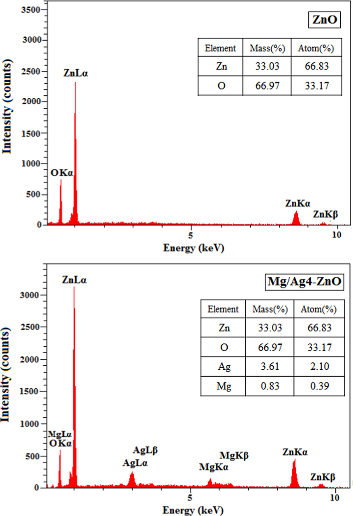 EDX profiles of ZnO and Mg/Ag4-ZnO nanoparticles obtained by using S. persica.