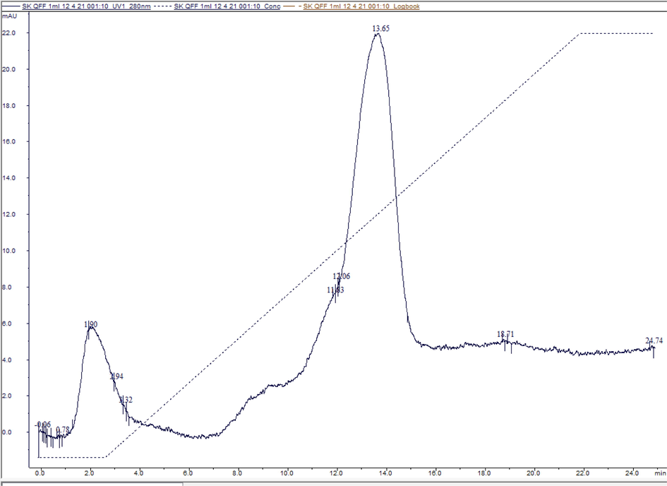 Chromatogram represents rSK purification using Hitrap Q-FF column. The Primary Y-axis represents absorbance UV280 in the Milli absorbance unit (mAU). The X-axis represents time in minutes (min).