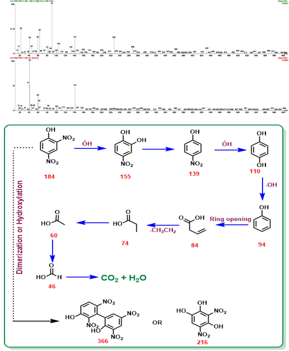 LC/MS chromatographs and proposed pathway for degradation of 2,4-DNP by 3D/SEC at the optimum condition.