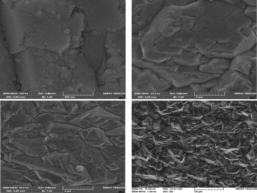 FESEM images of the surface morphology at different magnifications of the β-PbO2 electrodeposited on graphite substrates.