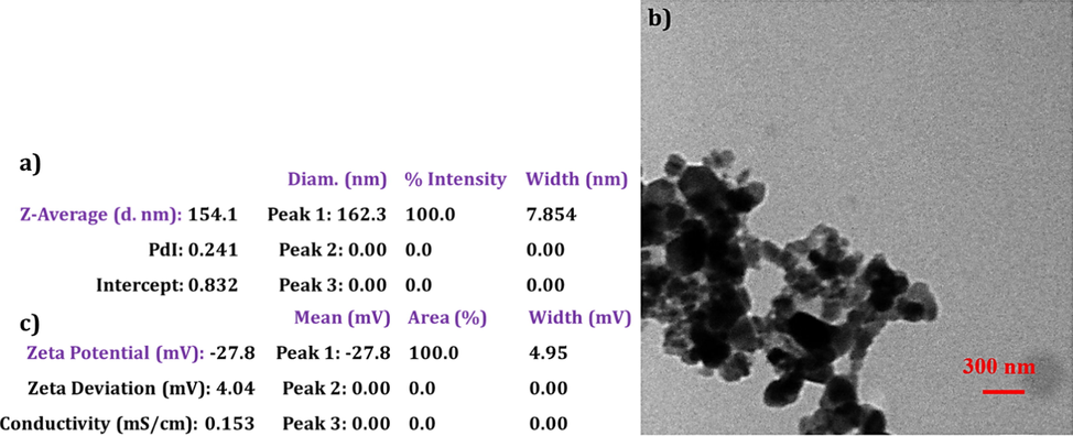 a) DLS data showing the average size and size distribution of Fe3O4-HyA NGs. b) TEM image of spherical Fe3O4-HyA NGs. c) Zeta potential data of negatively charged Fe3O4-HyA NGs.