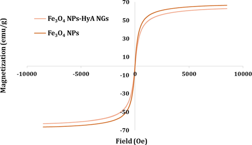 Superparamagnetic property of Fe3O4 NPs and Fe3O4-HyA NGs examined by VSM analysis.