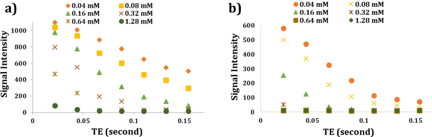 Graphs showing the potential ability of Fe3O4 NPs (a) and Fe3O4-HyA NGs (b) to reduce MR signal intensity at different Fe concentrations as the TE values increased in vitro.