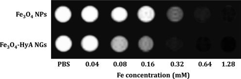 T2*-weighted MRI images of colloidal dispersions of Fe3O4 NPs and Fe3O4-HyA NGs at various concentrations of Fe illustrating the potential ability of the fabricated NGs to generate negative contrast in vitro at smaller TE values relative to T2-weighted MRI.