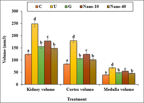 The absolute volumes of the kidney, cortex and medulla in the experimental groups. C (Control), U (Untreated diabetic), G (Glibenclamide), Nano (CS/NaLS/Au nano bio-composite). Non-identical letters indicate a significant difference between the groups (p < 0.05).