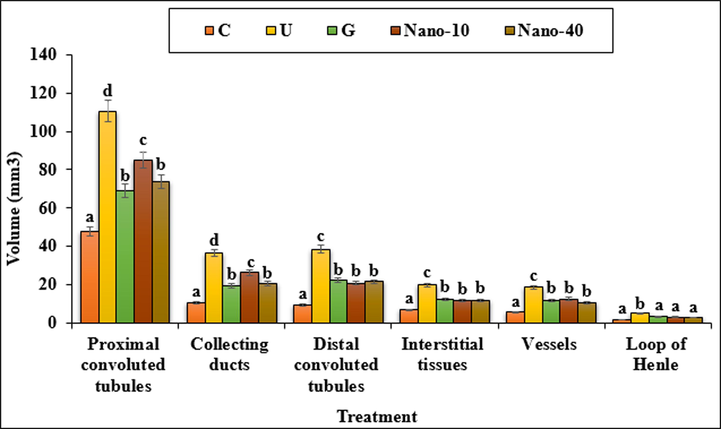 The absolute volumes of proximal and distal convoluted tubules, collecting ducts, interstitial tissues, vessels and loop of Henle in the experimental groups. C (Control), U (Untreated diabetic), G (Glibenclamide), Nano (CS/NaLS/Au nano bio-composite). Non-identical letters indicate a significant difference between the groups (p < 0.05).