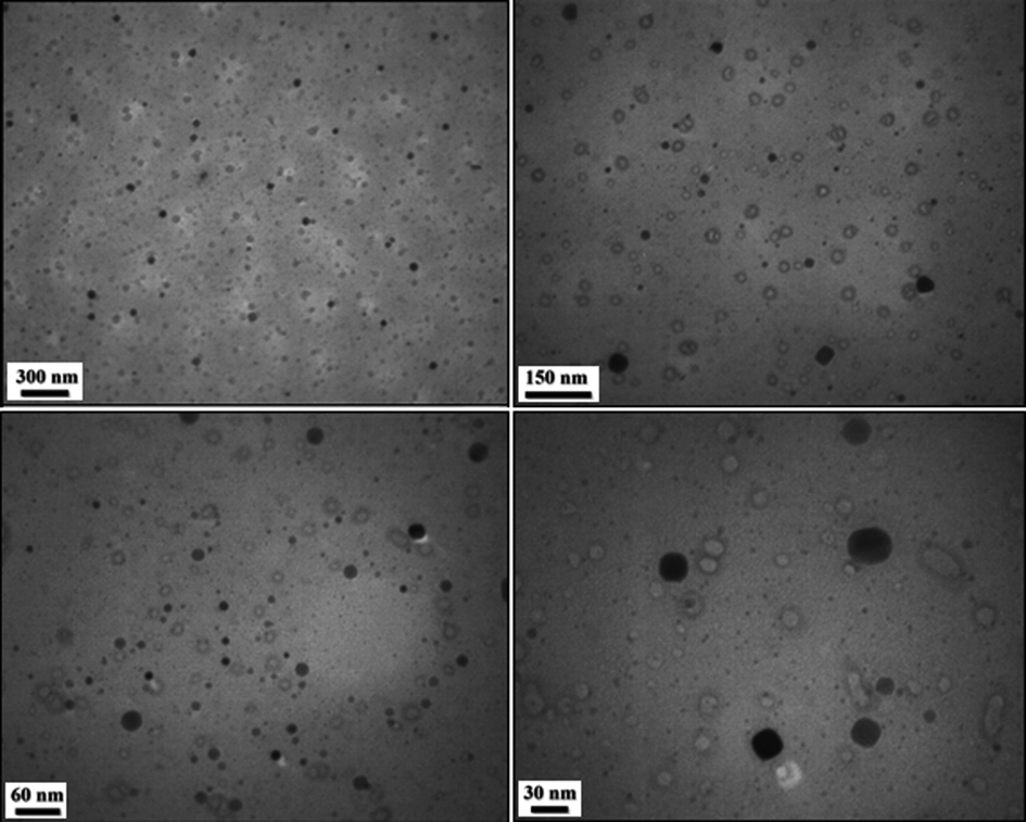 TEM images of the CS/NaLS/Au nanocomposite.