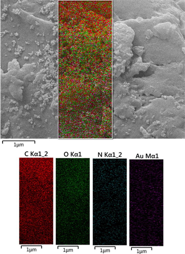 Elemental mapping of CS/NaLS/Au nanocomposite.