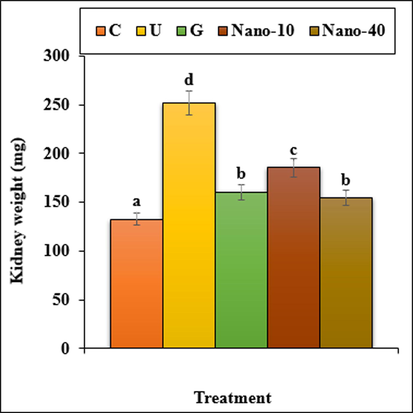 The weight of kidney in all of the experimental groups. C (Control), U (Untreated diabetic), G (Glibenclamide), Nano (CS/NaLS/Au nano bio-composite). Non-identical letters indicate a significant difference between the groups (p ≤ 0.05).