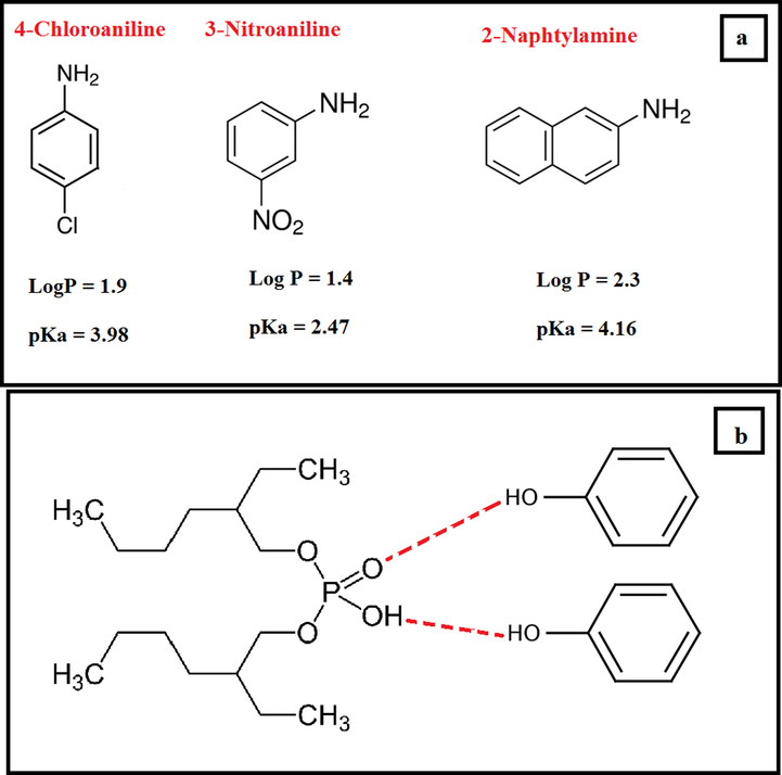 Chemical structure of PAAs (a). Suggested structure of the prepared DES (b).