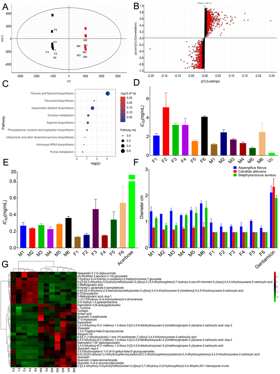 Results of OPLS-DA(A), S-plot(B), pathway enrichment analysis bubble plot (C), antioxidant activities (D), anti-hyperglycemic activities (E), antibacterial activity (F), heat maps of differential markers (G).