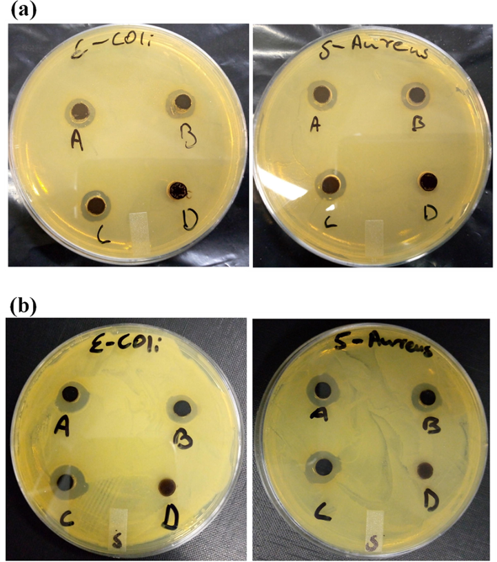 Inhibitory Zones photographs produced by (a) Ag-PDA and (b) Ag@PDA nanocomposites at different AgNO3 concentrations [ (A) 1 mM, (B) 5 mM and (C) 10 mM] and (D) PDA.