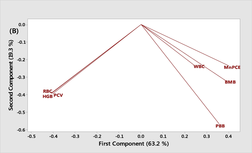 Principal component analysis of the measured biochemical parameters in leukemic mice treated with different fractions of M. lucida and the control. BMB: Bone marrow blast. PBB: Peripheral blood blast.