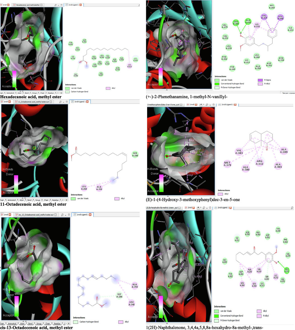 3D and 2D complex structure of binding Interaction between ligand and protein (PDB: 1RW8).